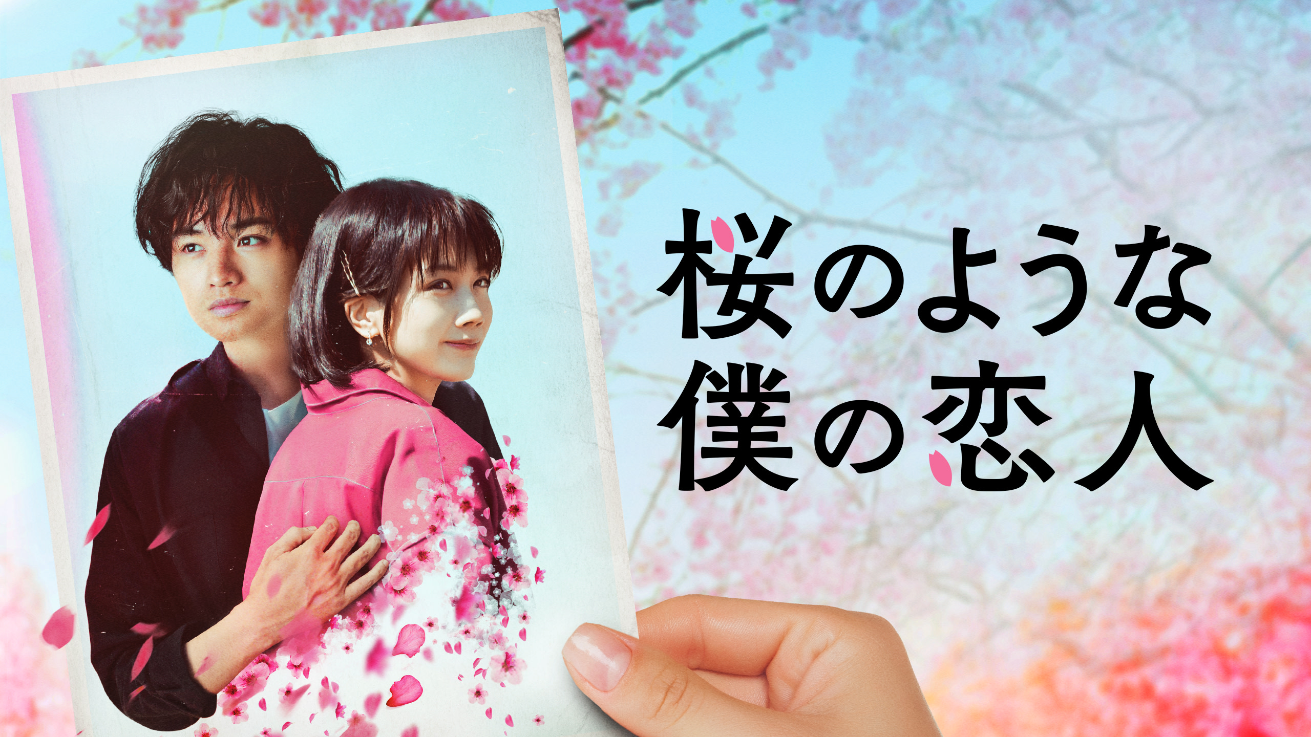 桜のような僕の恋人